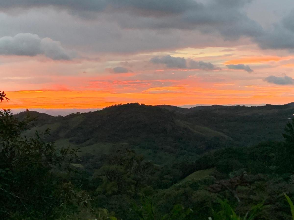 Globi Lodge #2 Monteverde Dış mekan fotoğraf